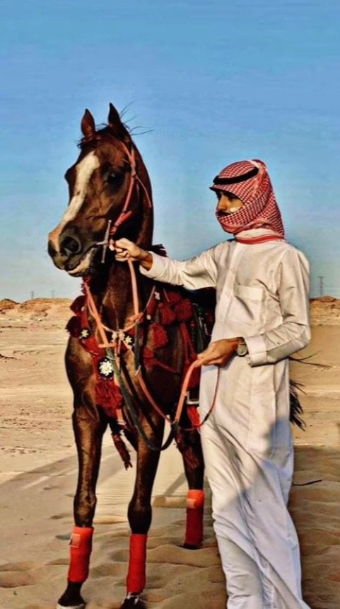 عبدالله الدخيل