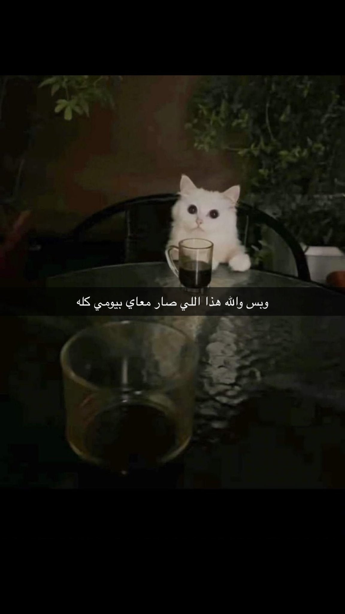 نيكو روبين