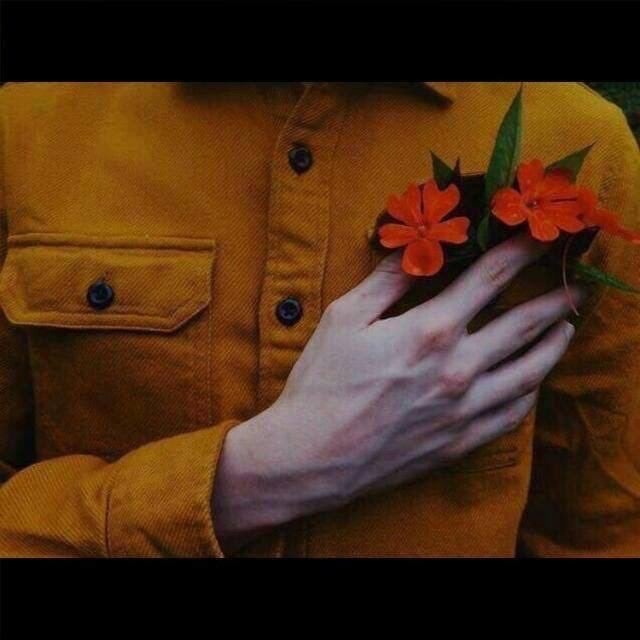 ود عبدالله