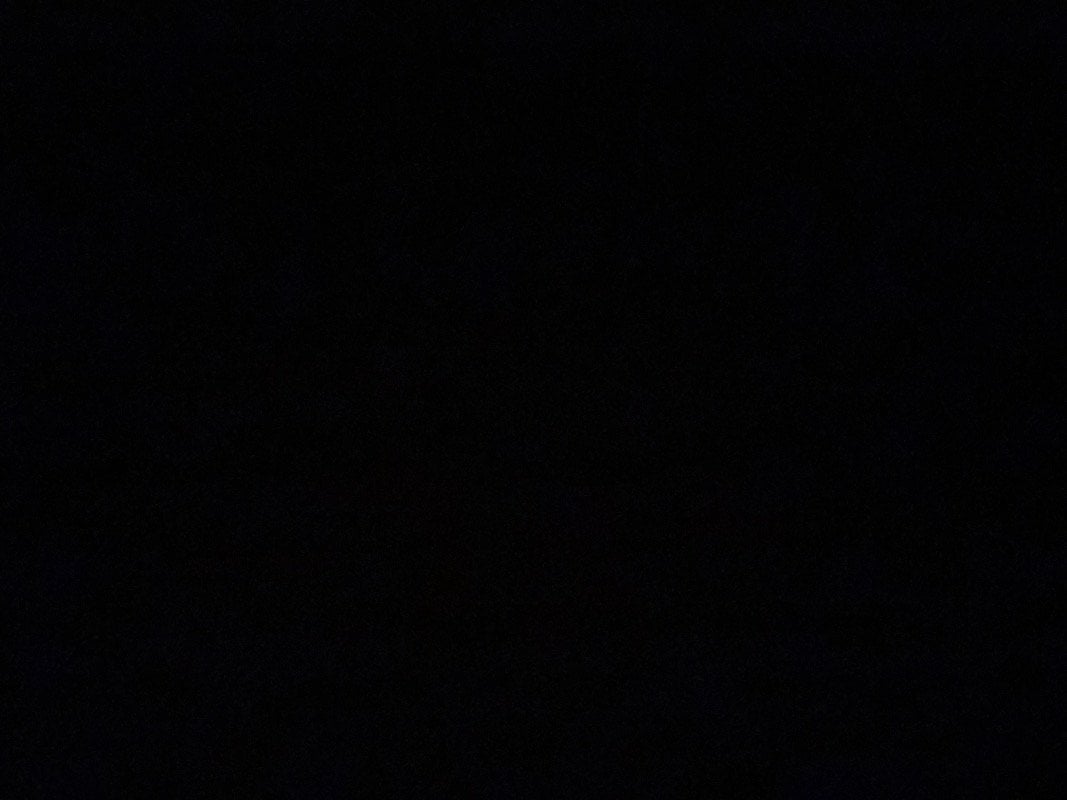 فيصل .