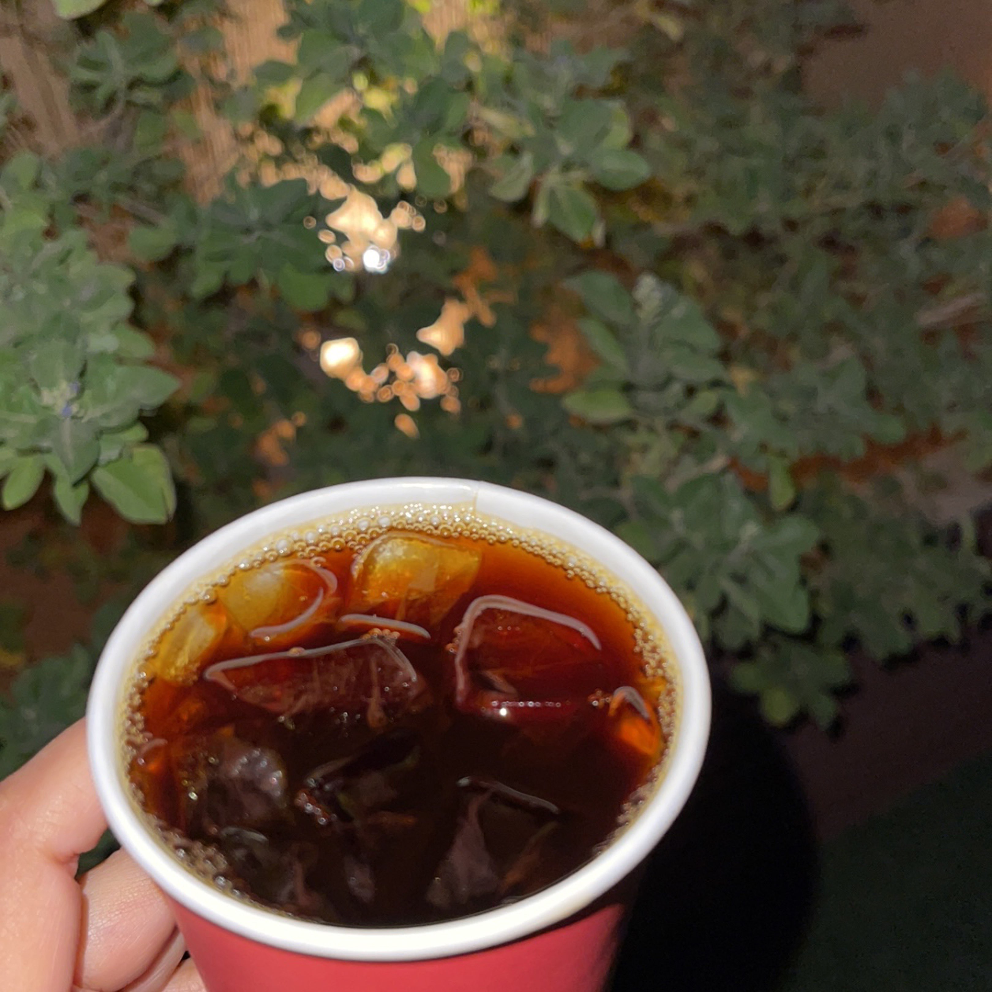 نوره السبيعي