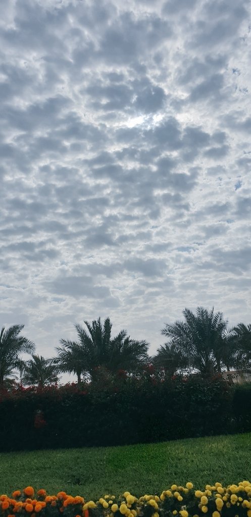 امجاد 