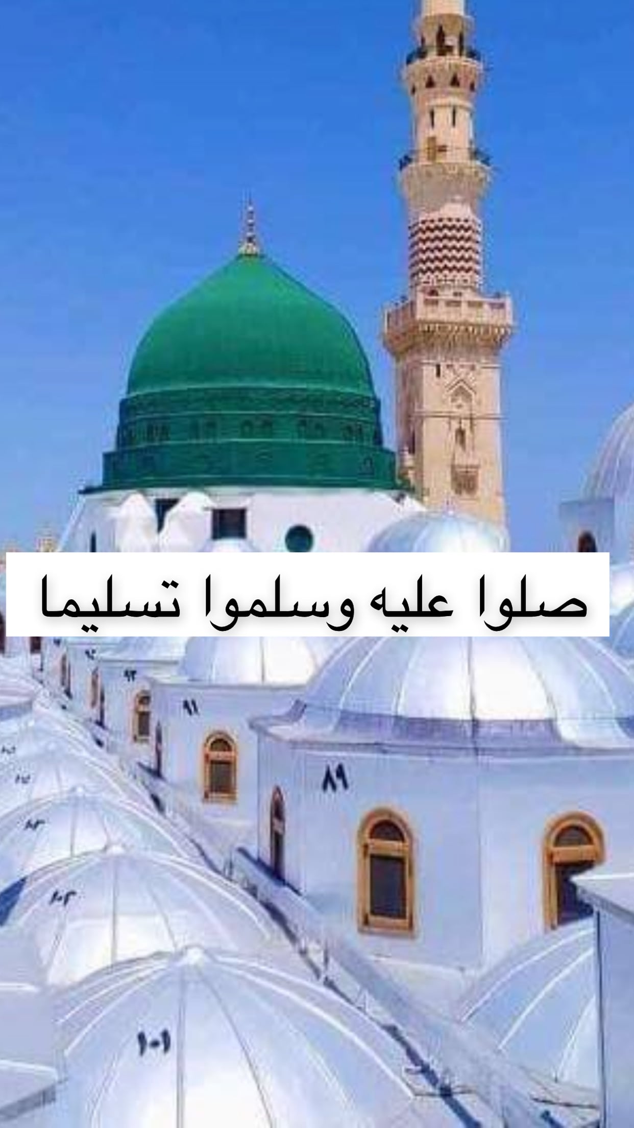 د.أمل الرفيدي