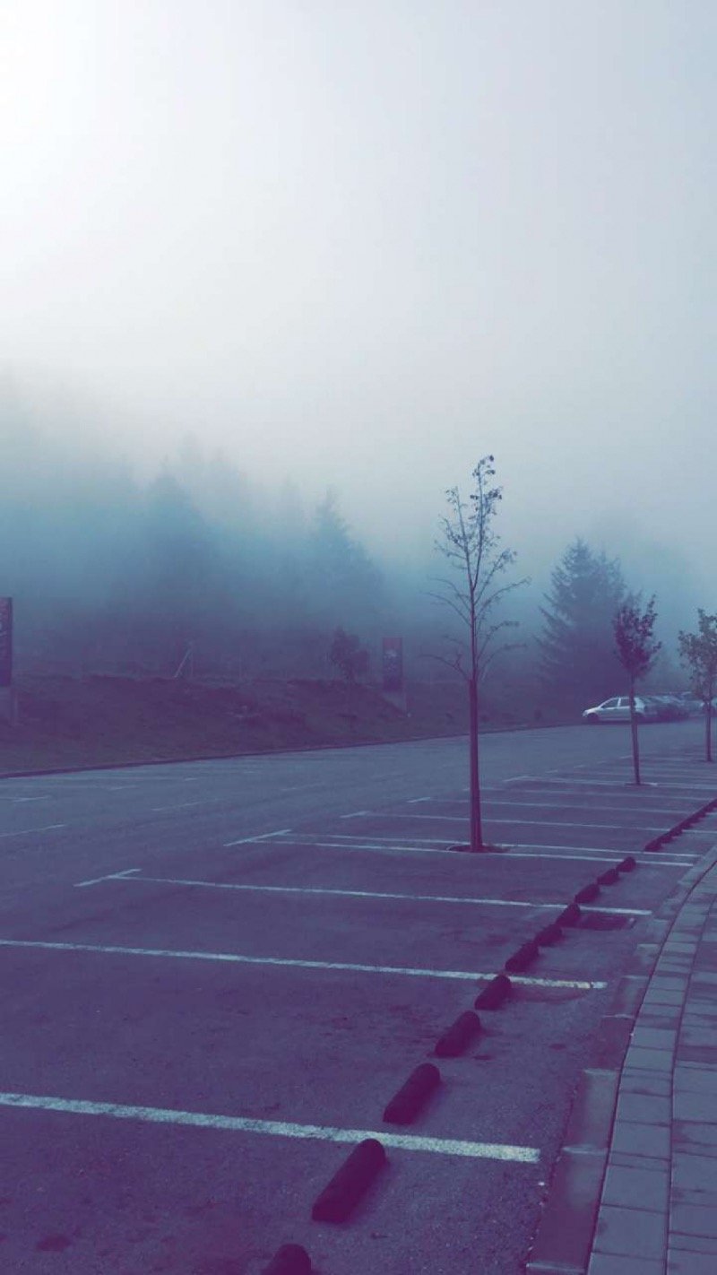 سلوى الشريف