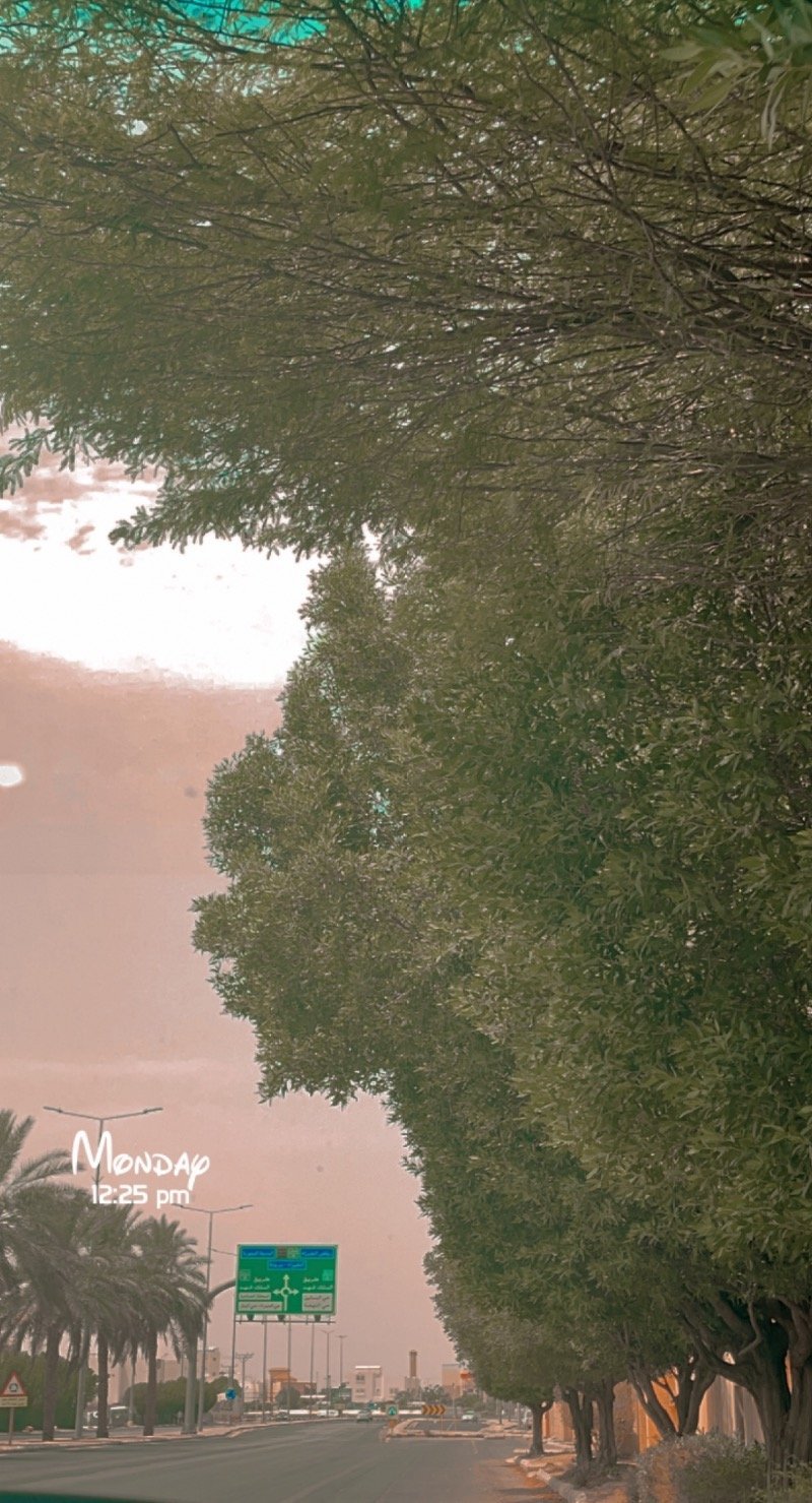 خالد الدويغري