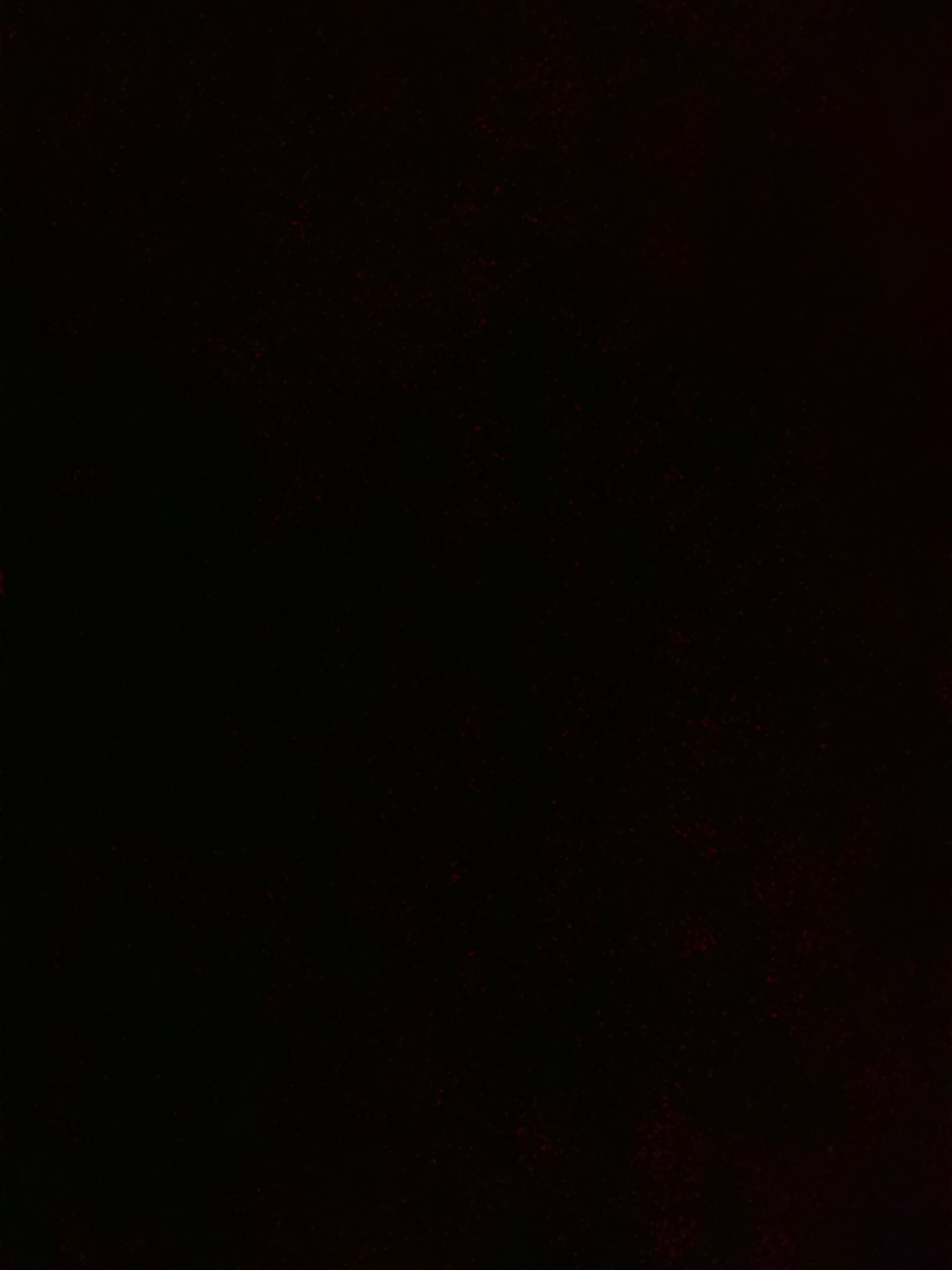 صباح العمري