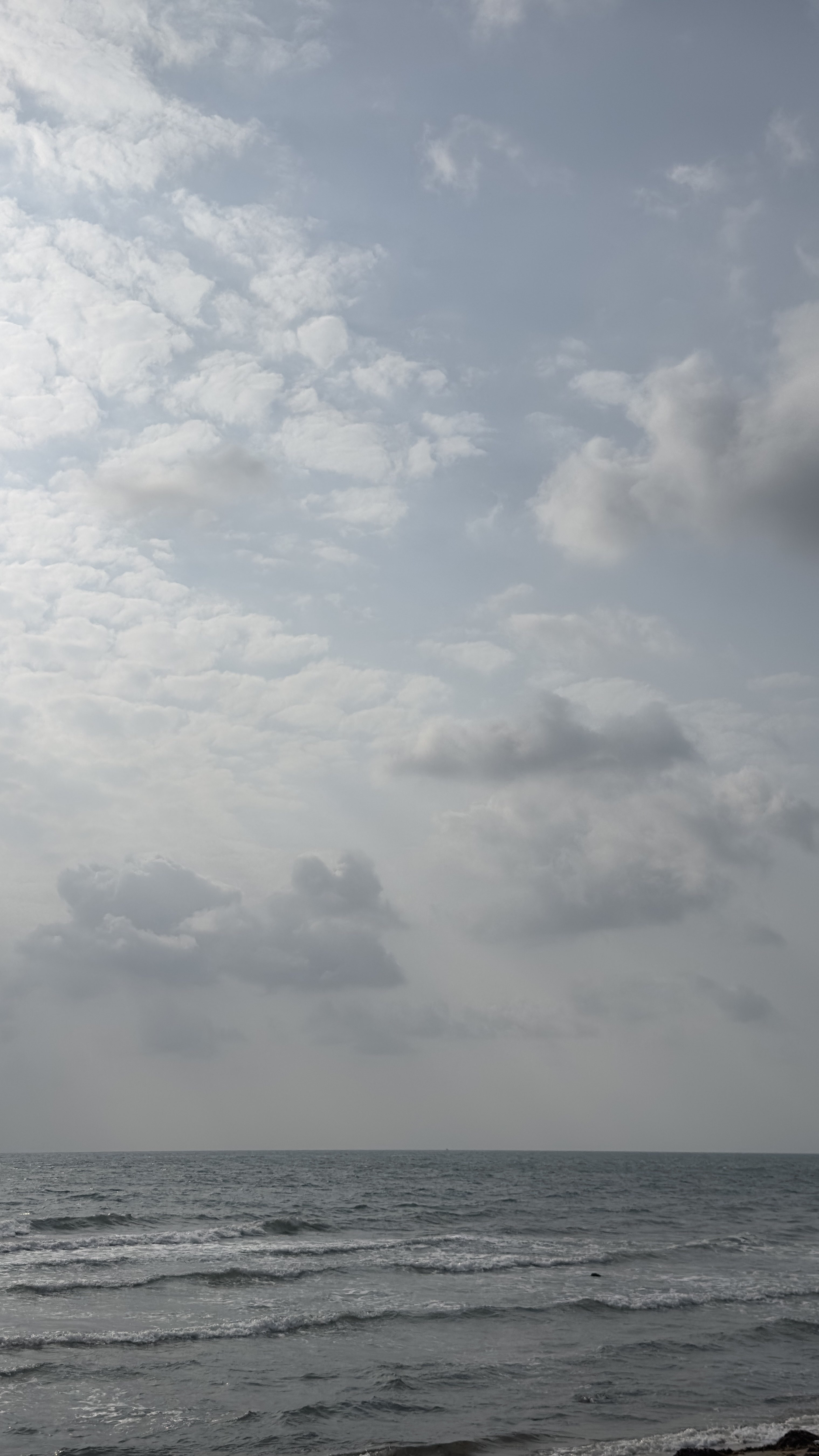 حنان الكناني