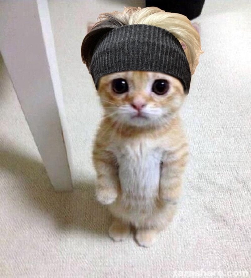 M ‘