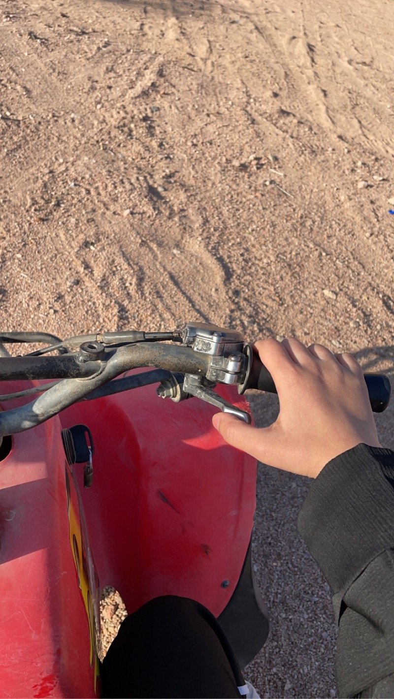 لولوه الجلعود