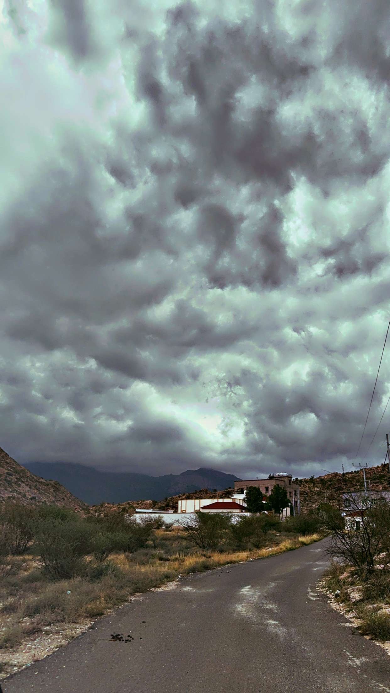 عوض البارقي