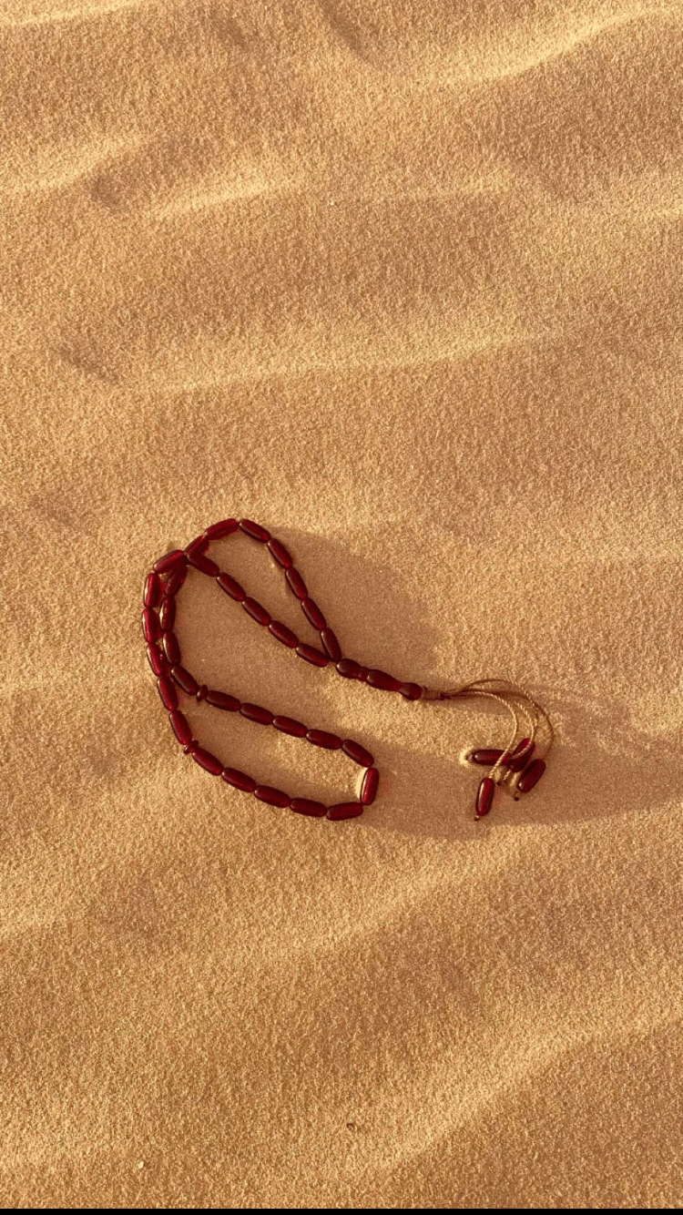 صالح نايف الشمري
