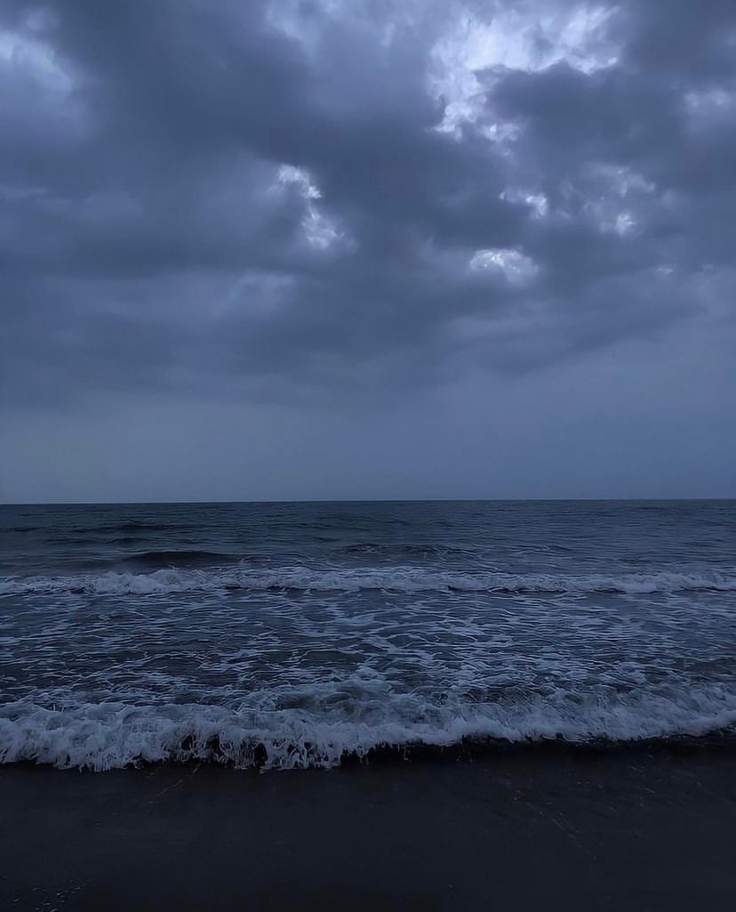 هيثم العمري