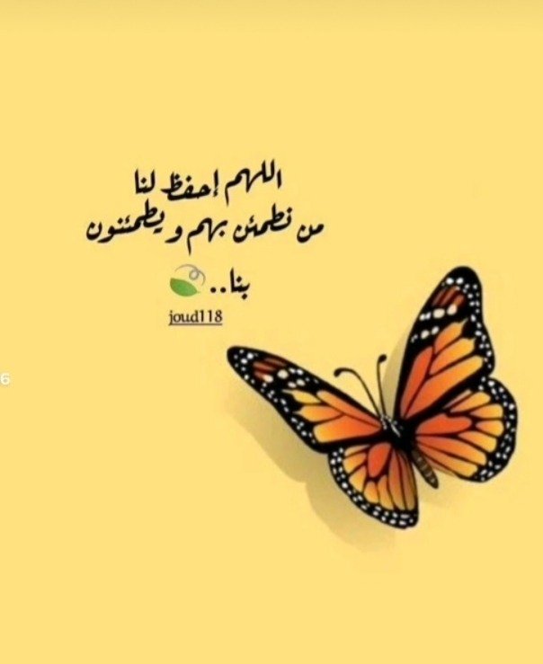فاطمة صالح