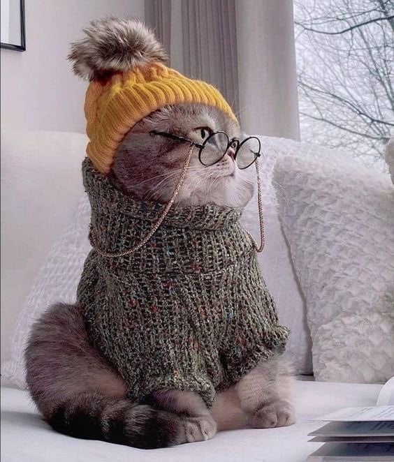 روعه الشهراني