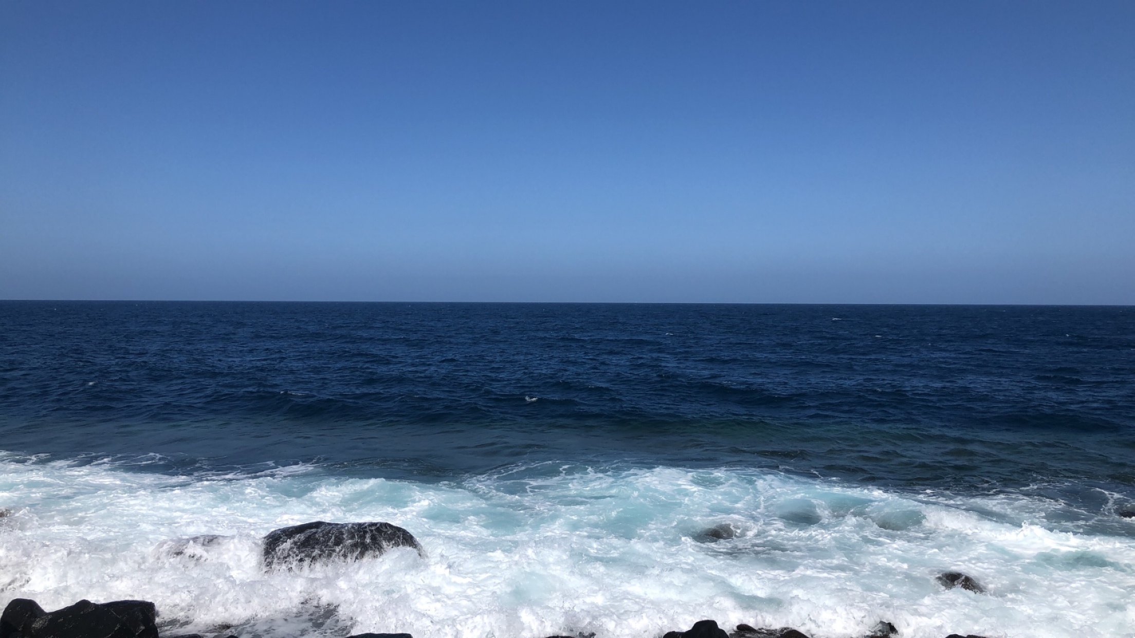 عبدالرحمن يوسف