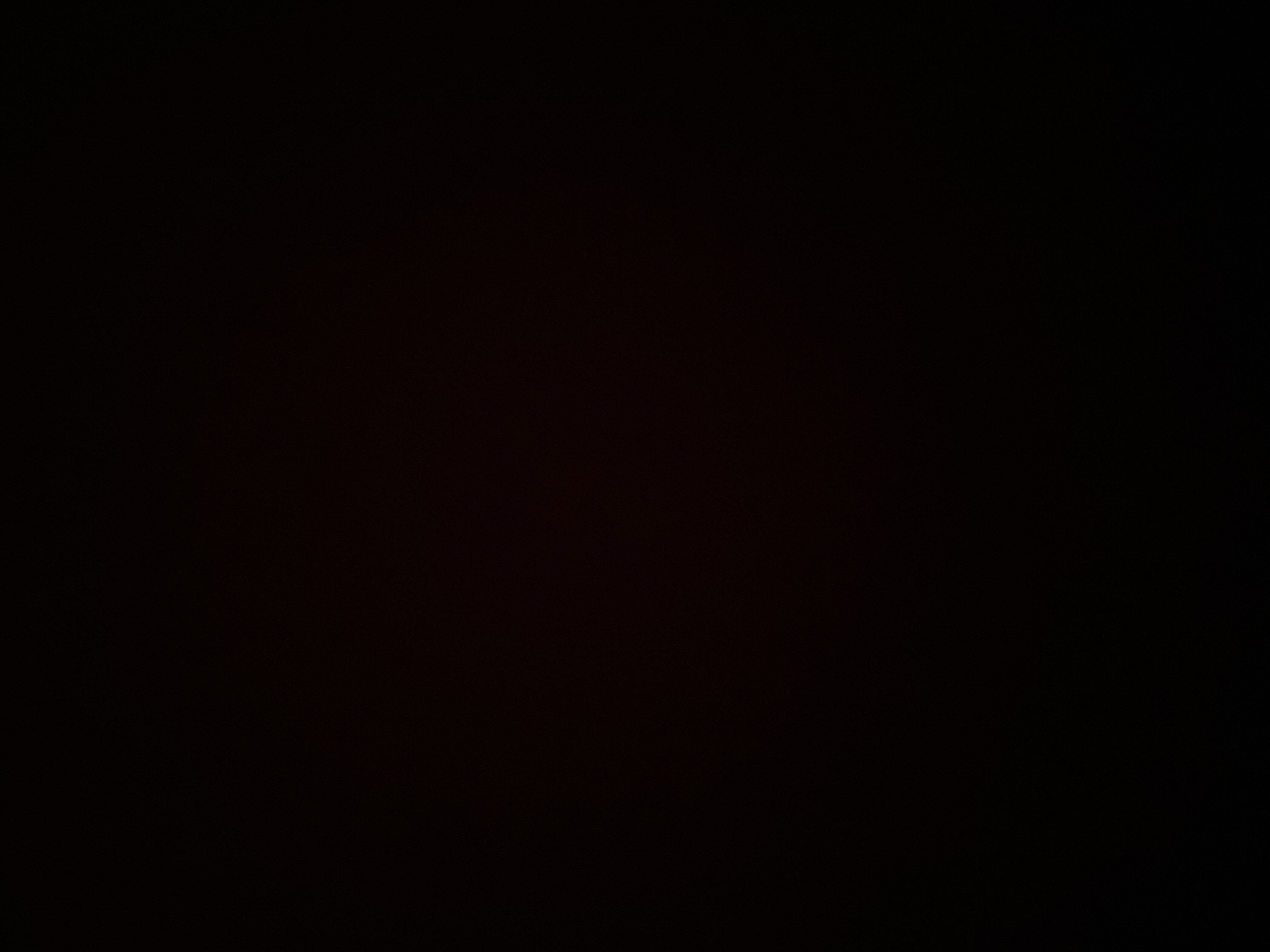 محمد الحارثي