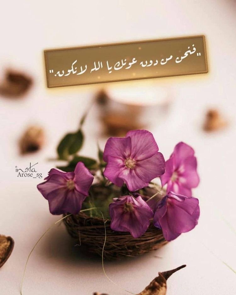 نجوى الحربي