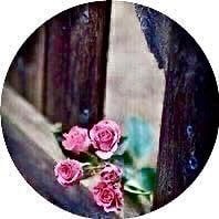 البندري القحطاني