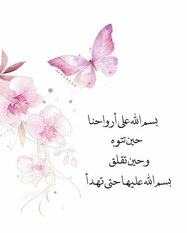 عمر مجرشي