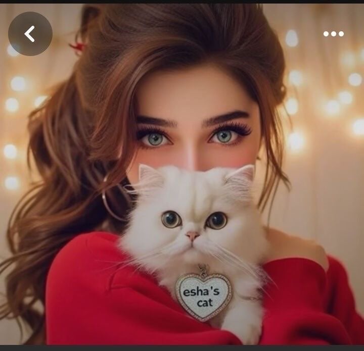 حصه السويدي