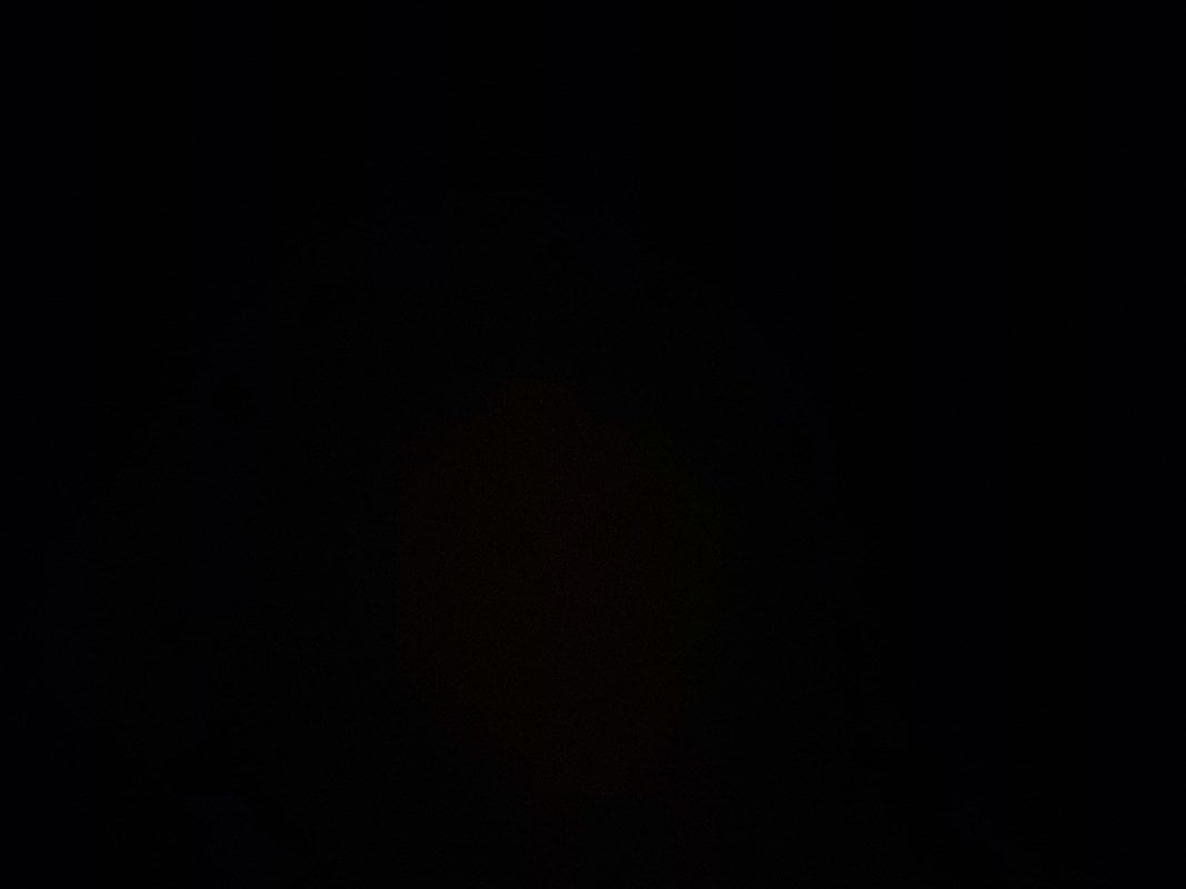 روزانا المغامسي