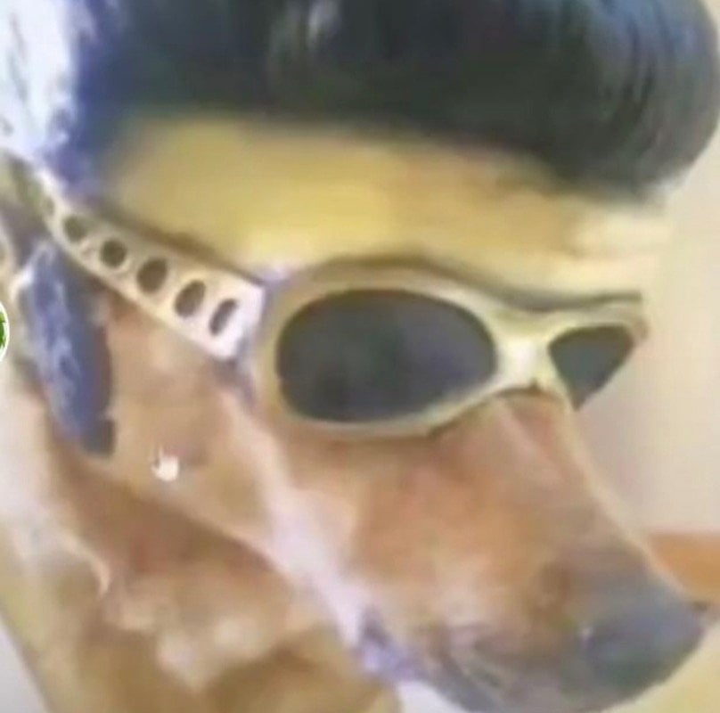 الكينق صالح