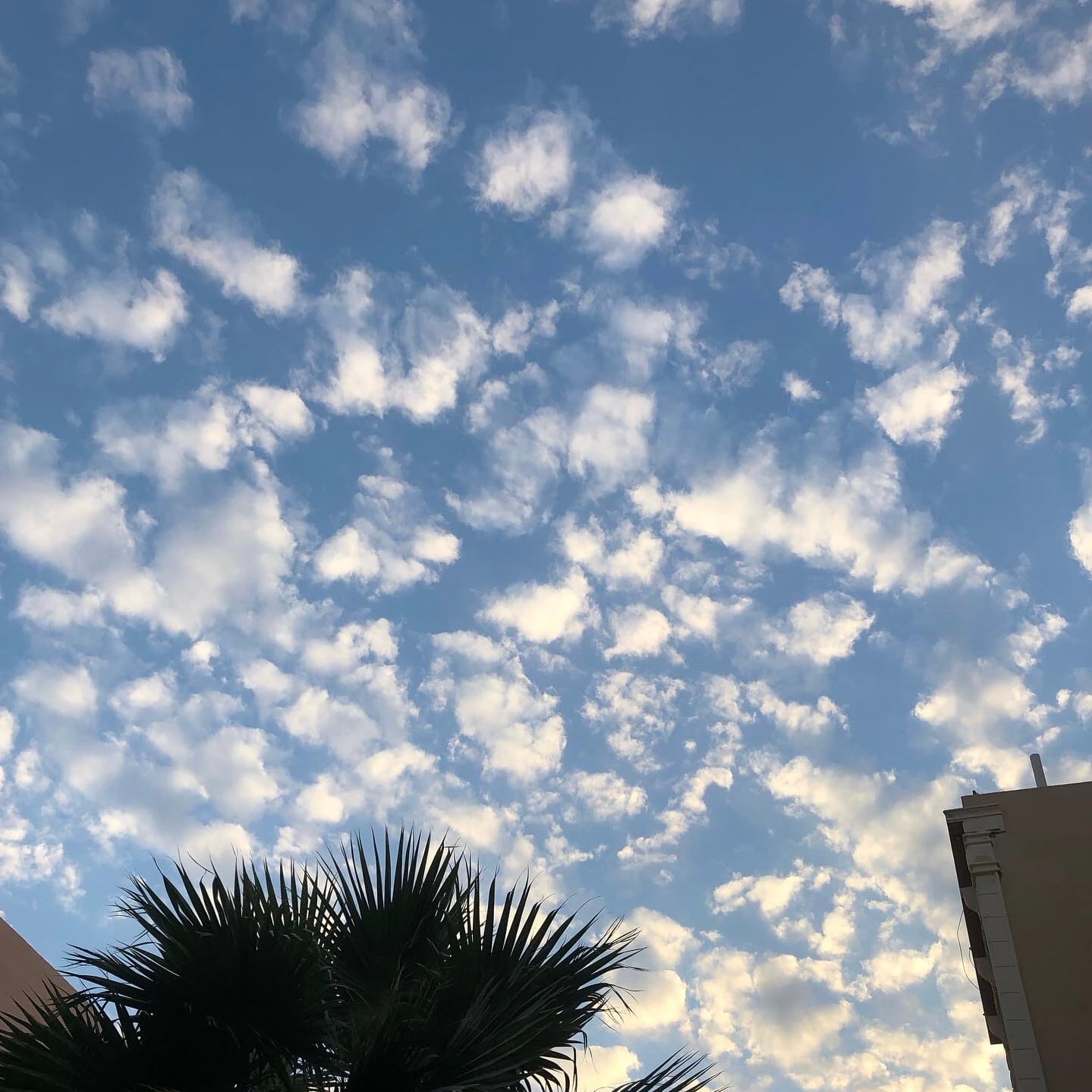 رِتاج صالح