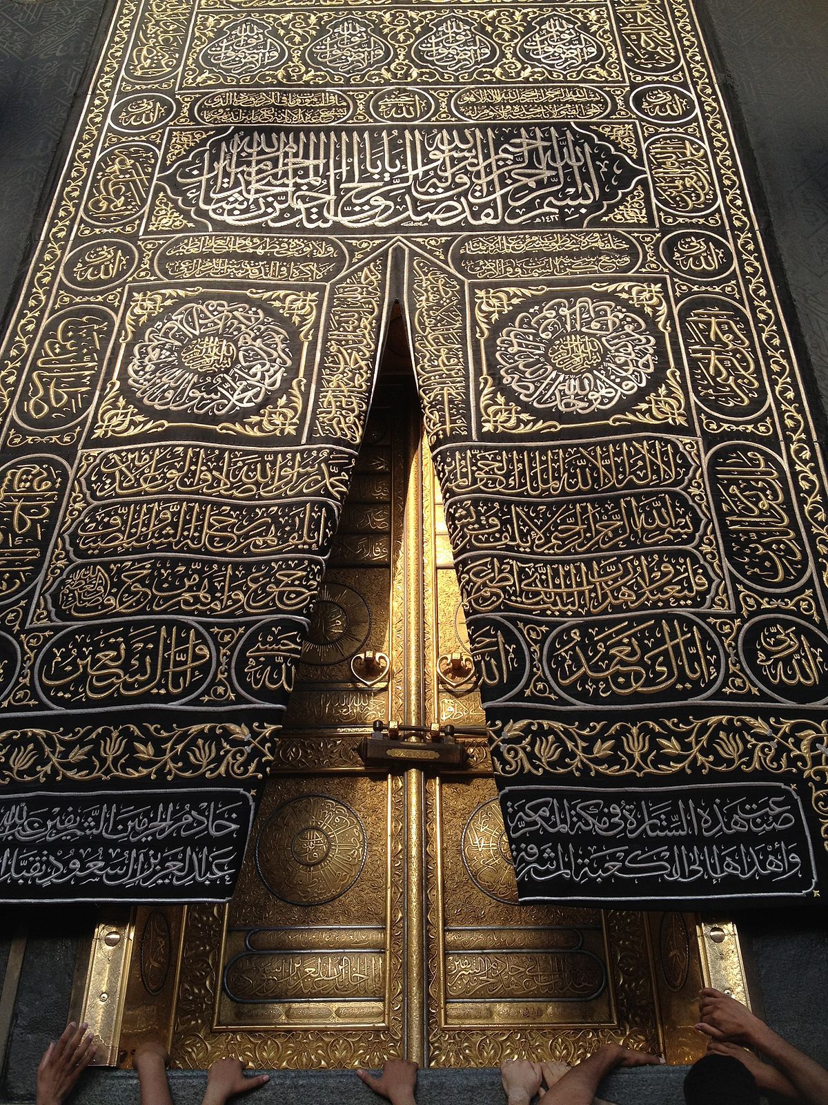 عبدالله هاني