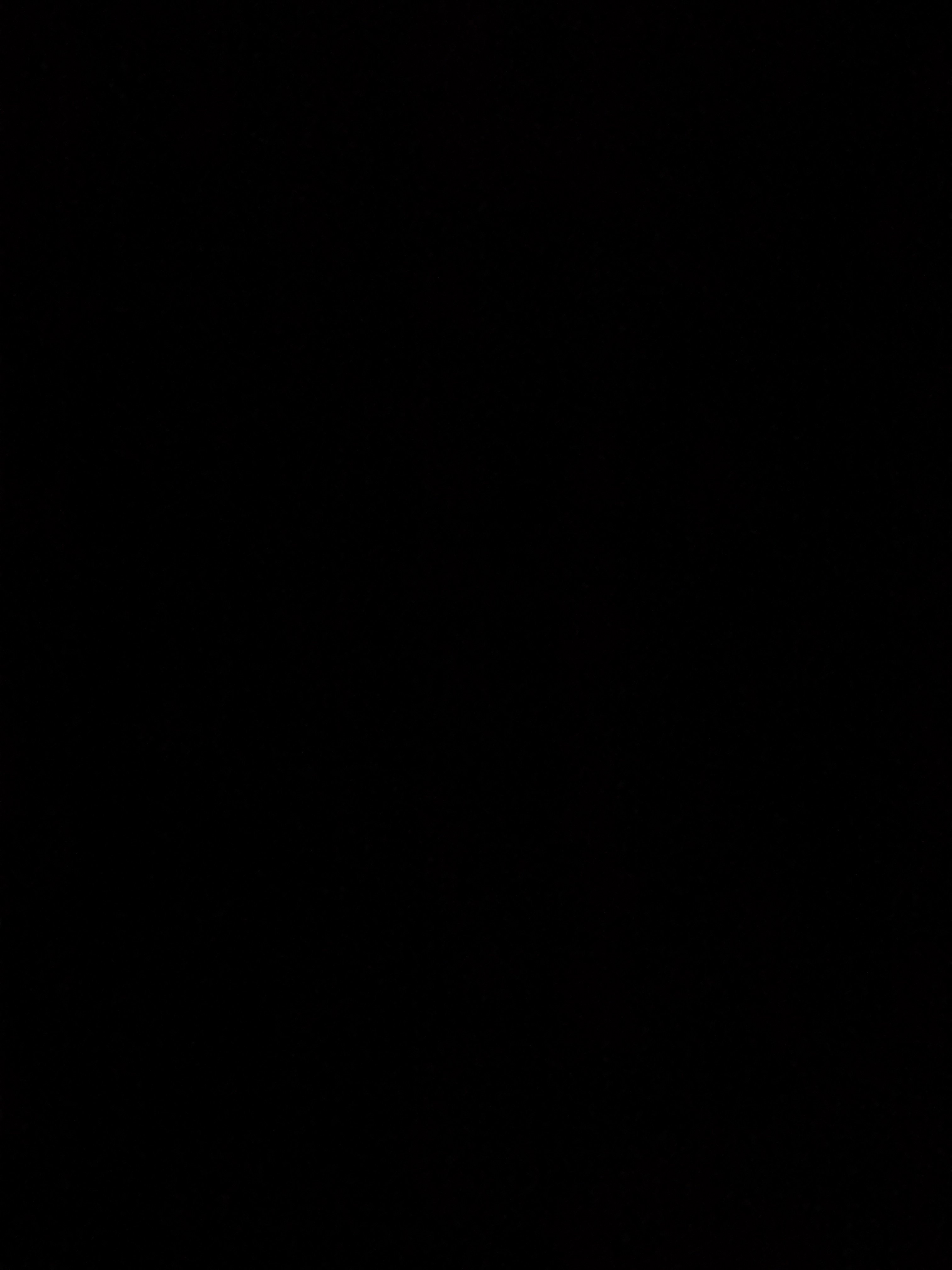بلال الموسى