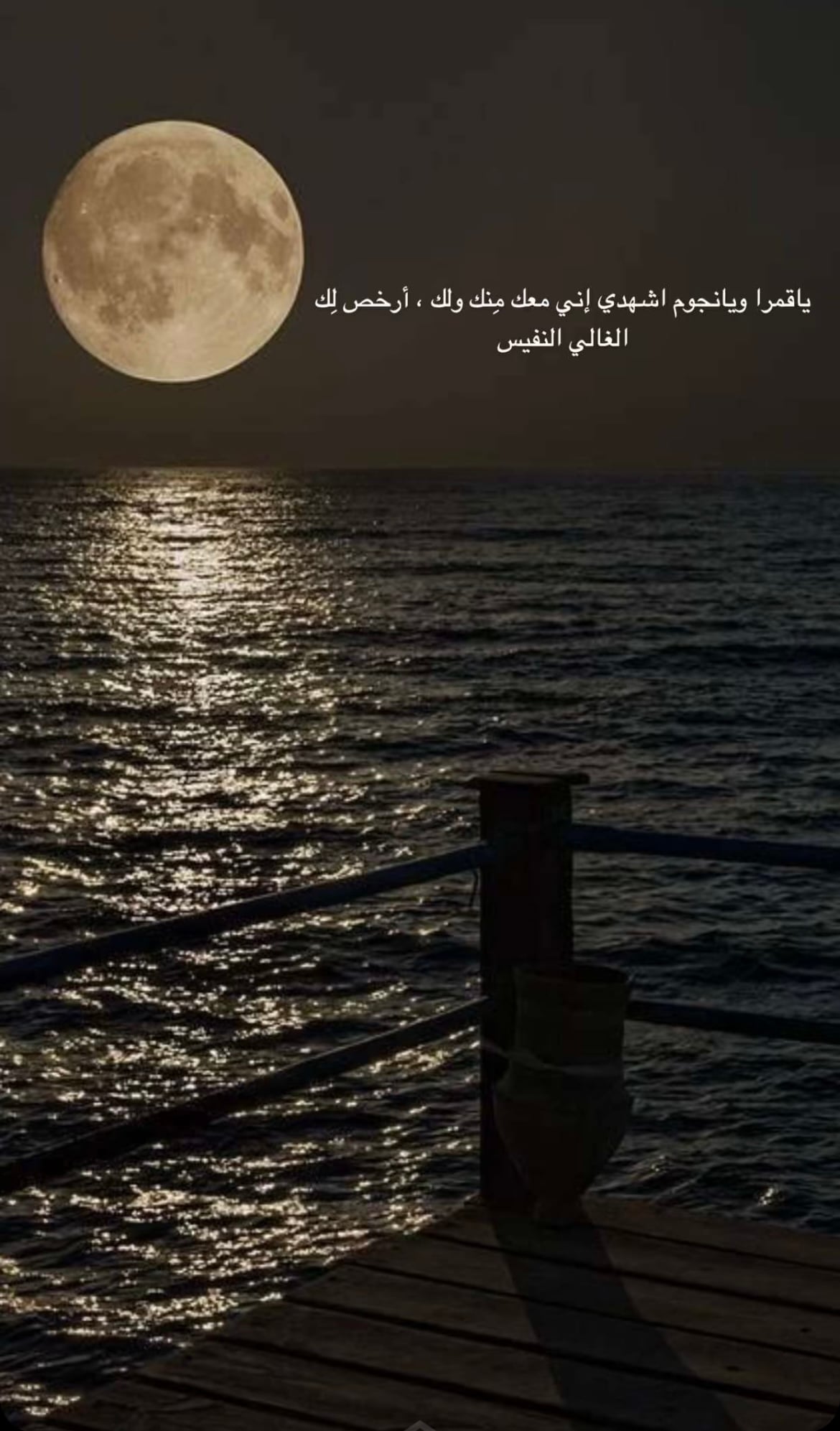 وجدان يحي مباركي