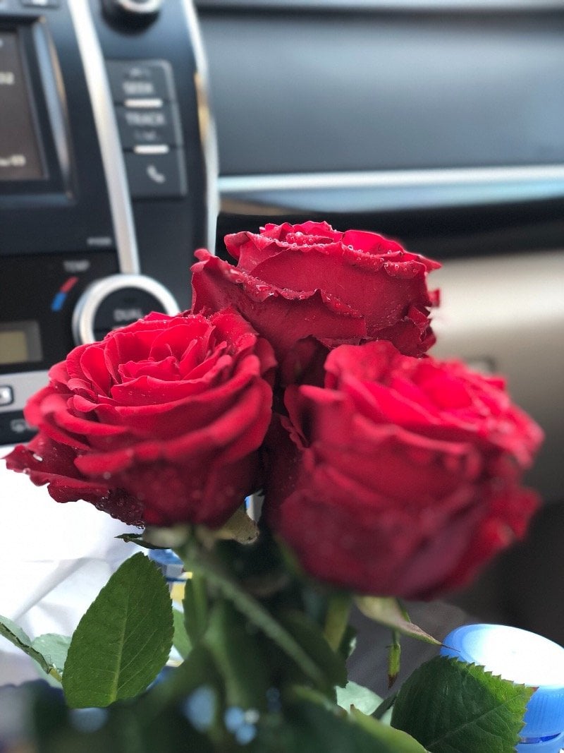 خالد ابراهيم