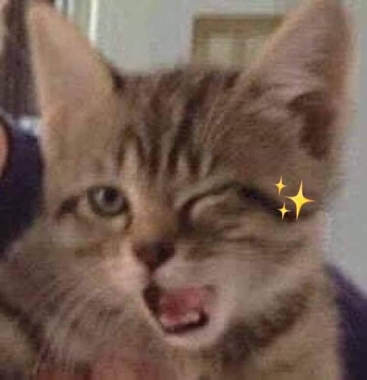 لين الزهراني
