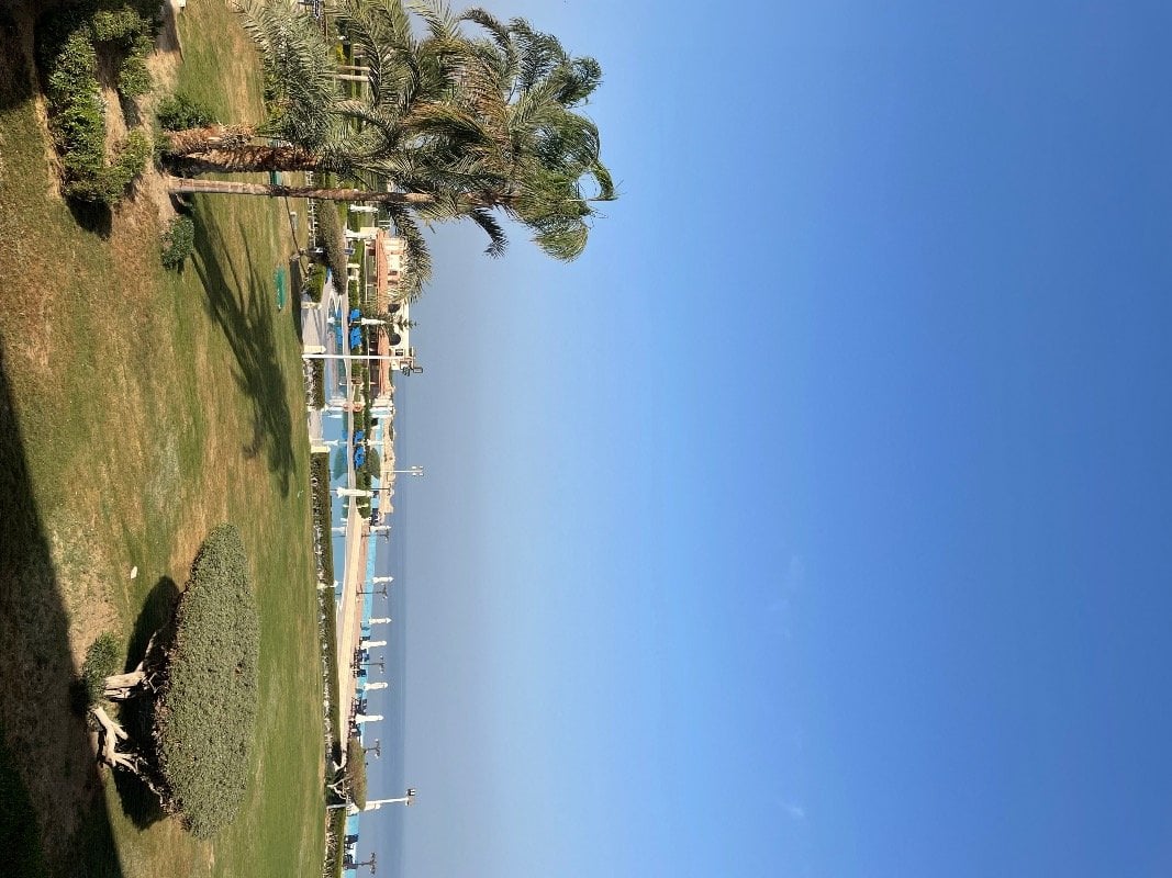 ناصر عبدالرحمن