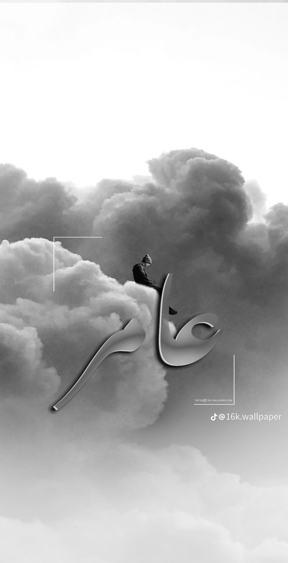 عامر محمد القناطره