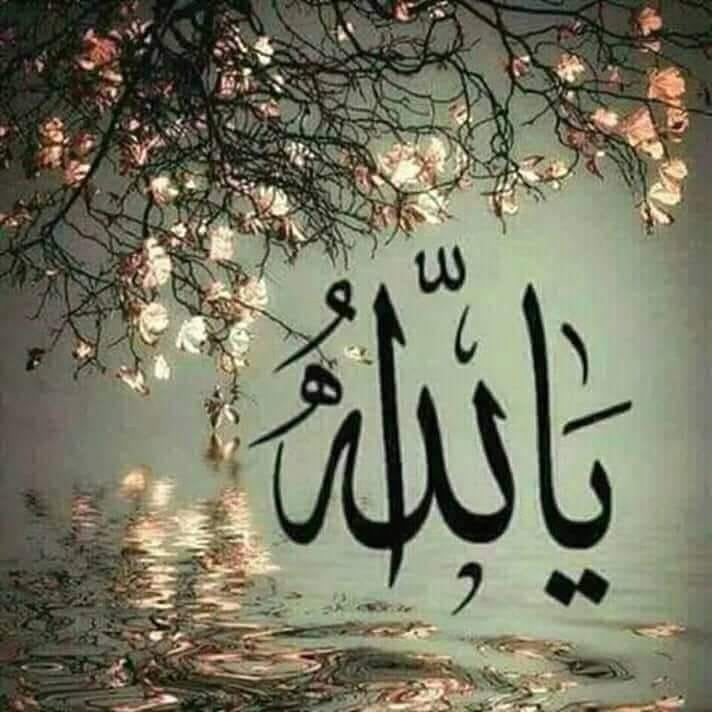 عزه غيثان الميموني