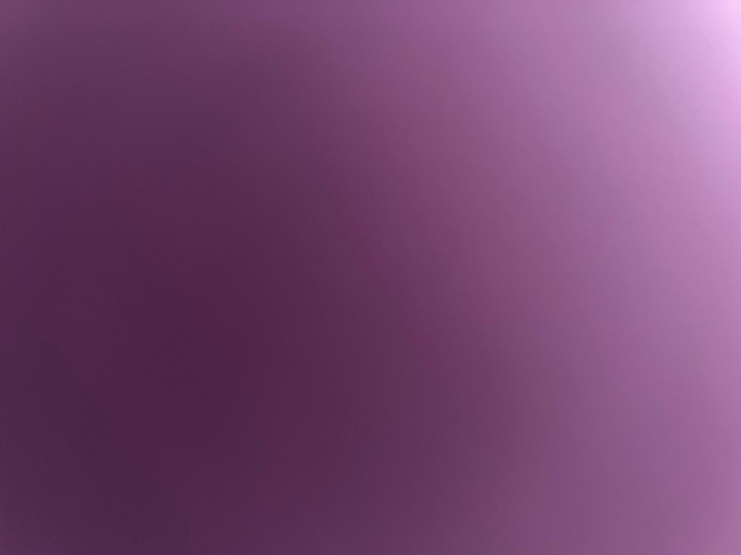 فاتن الحزوبر