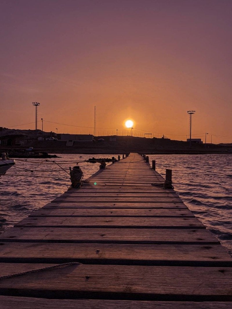 عيسى الحربي