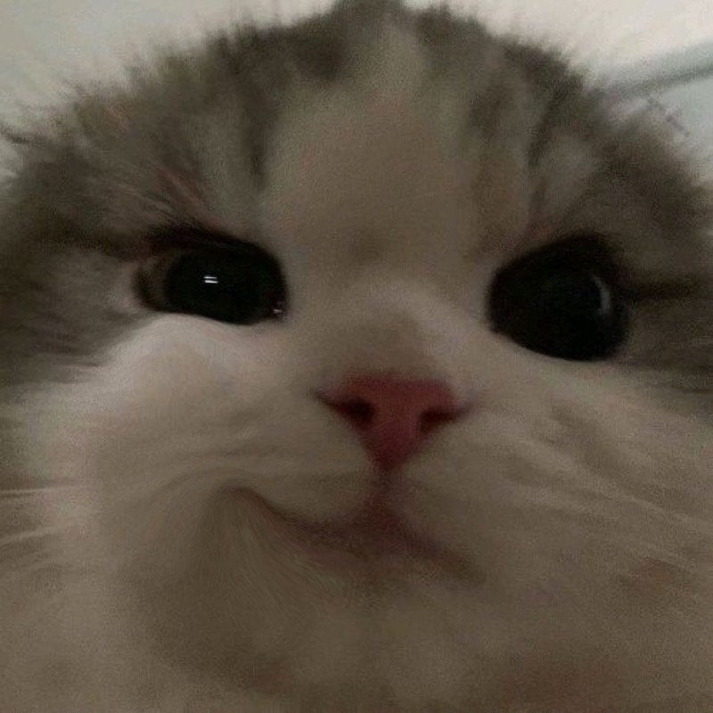 F a t i m a h