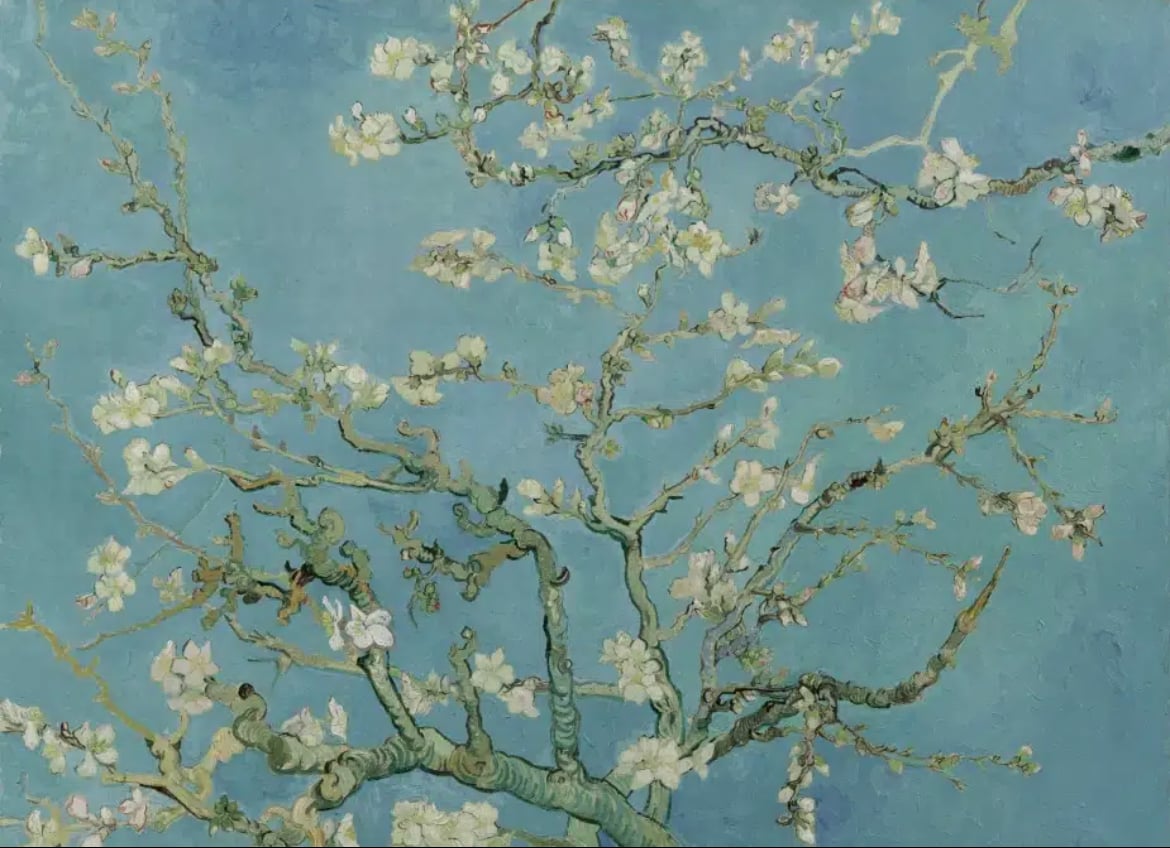 عهود العنزي