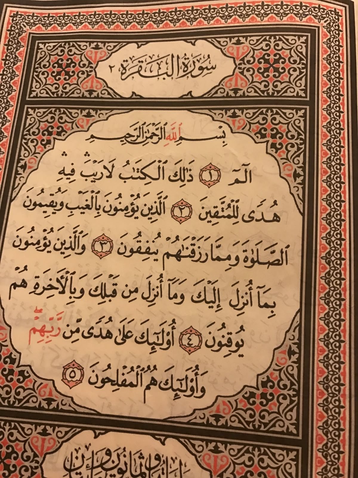 زهراء العمري