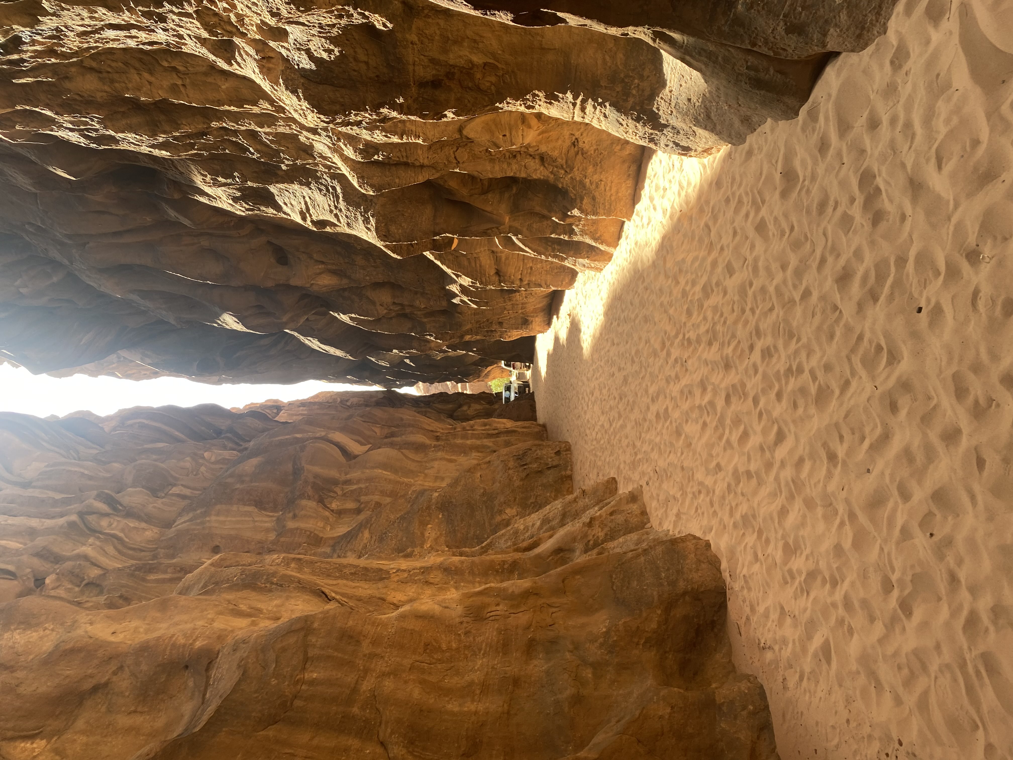 ماجد العنزي