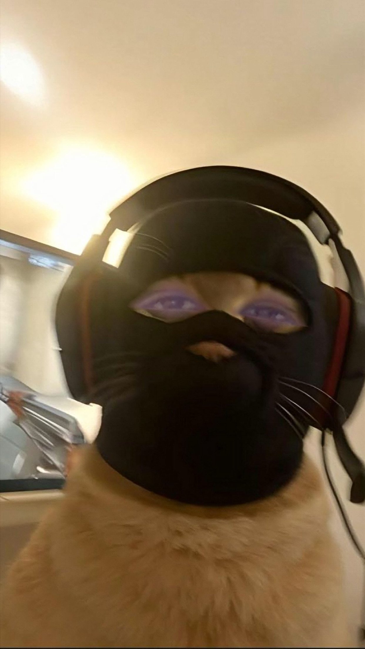 مقرن البلوي