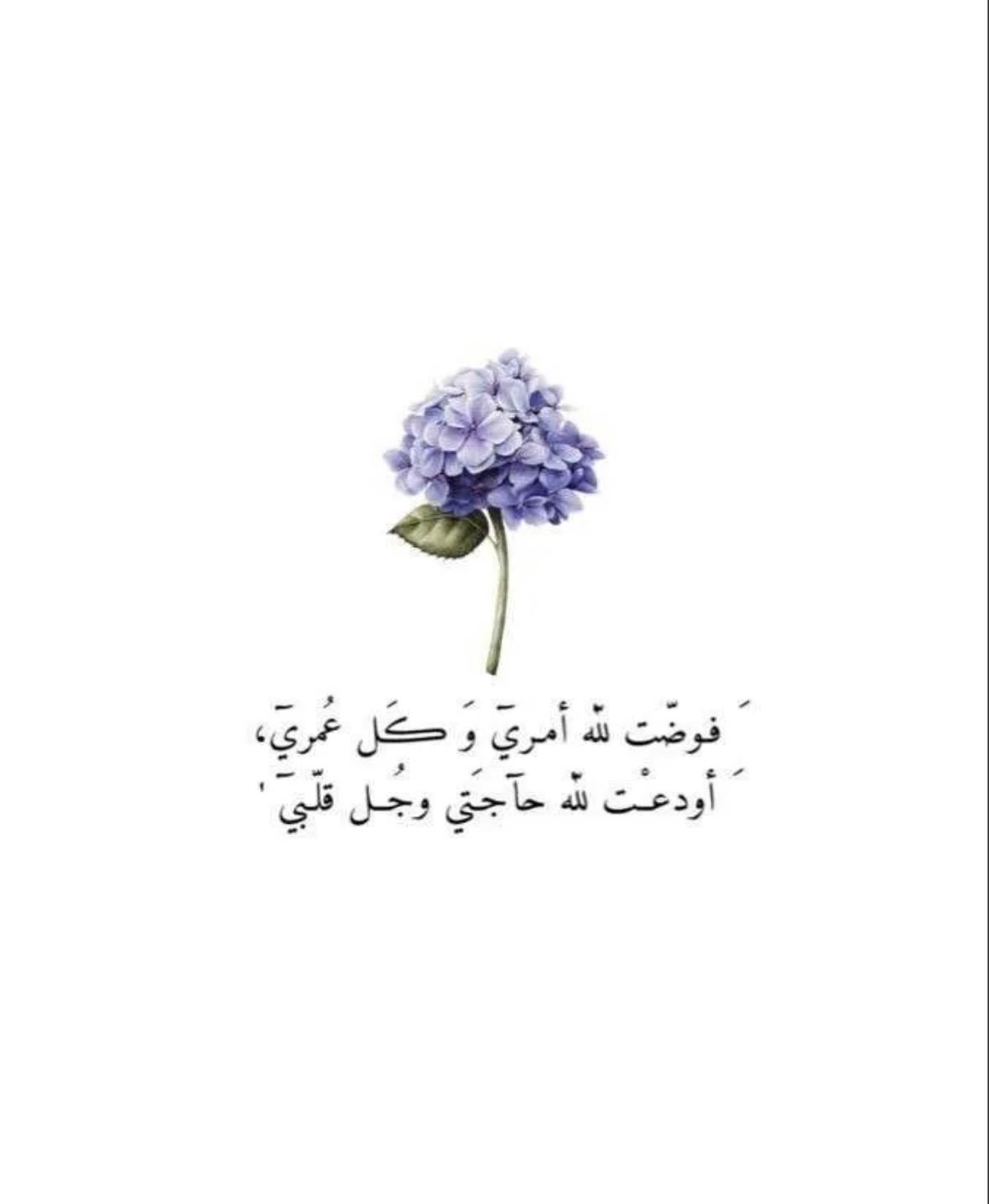 خالد الراشد