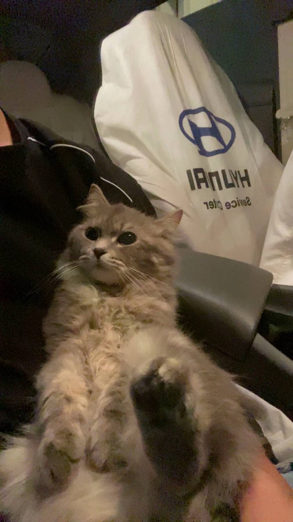 ماجد الجهني