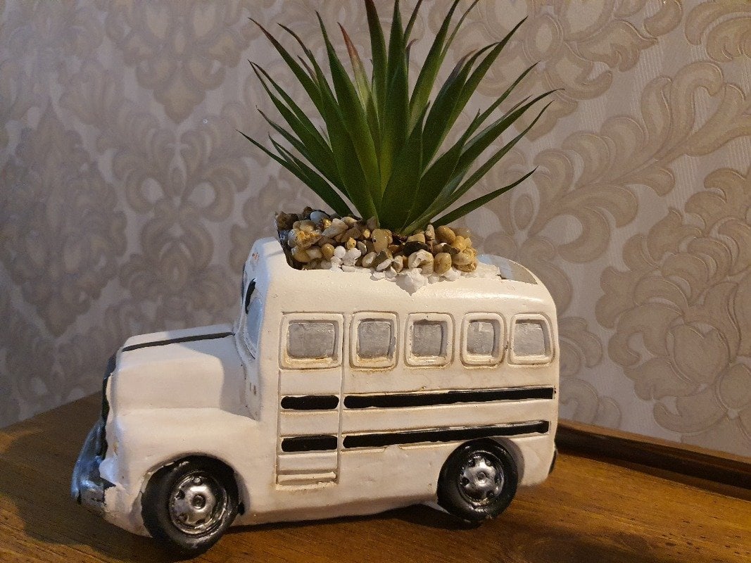 محمد العثمان