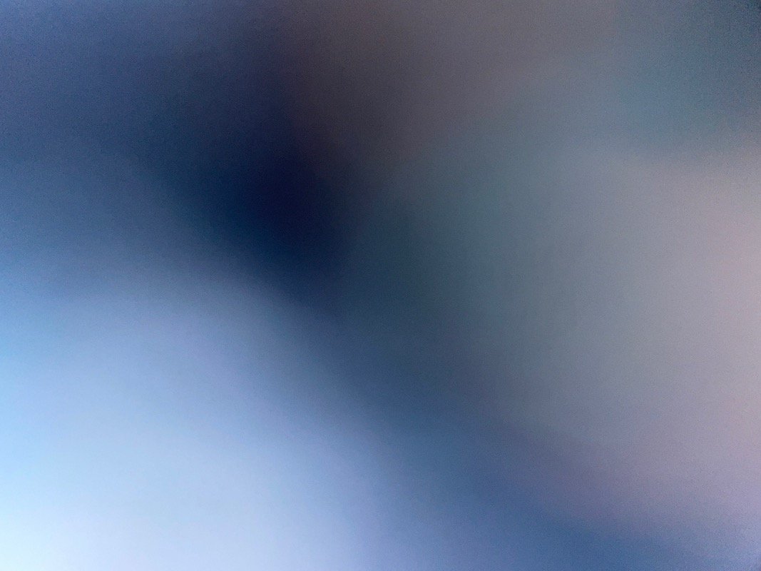 شهد عبدالله