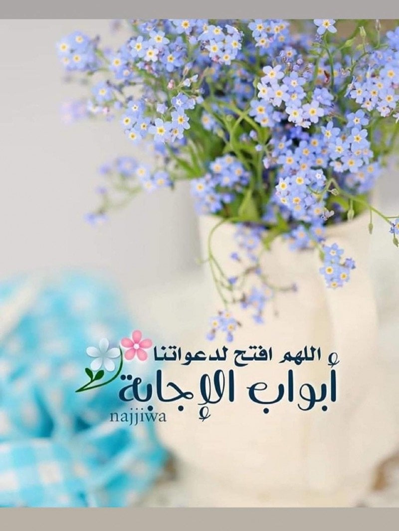 Majd Khaled