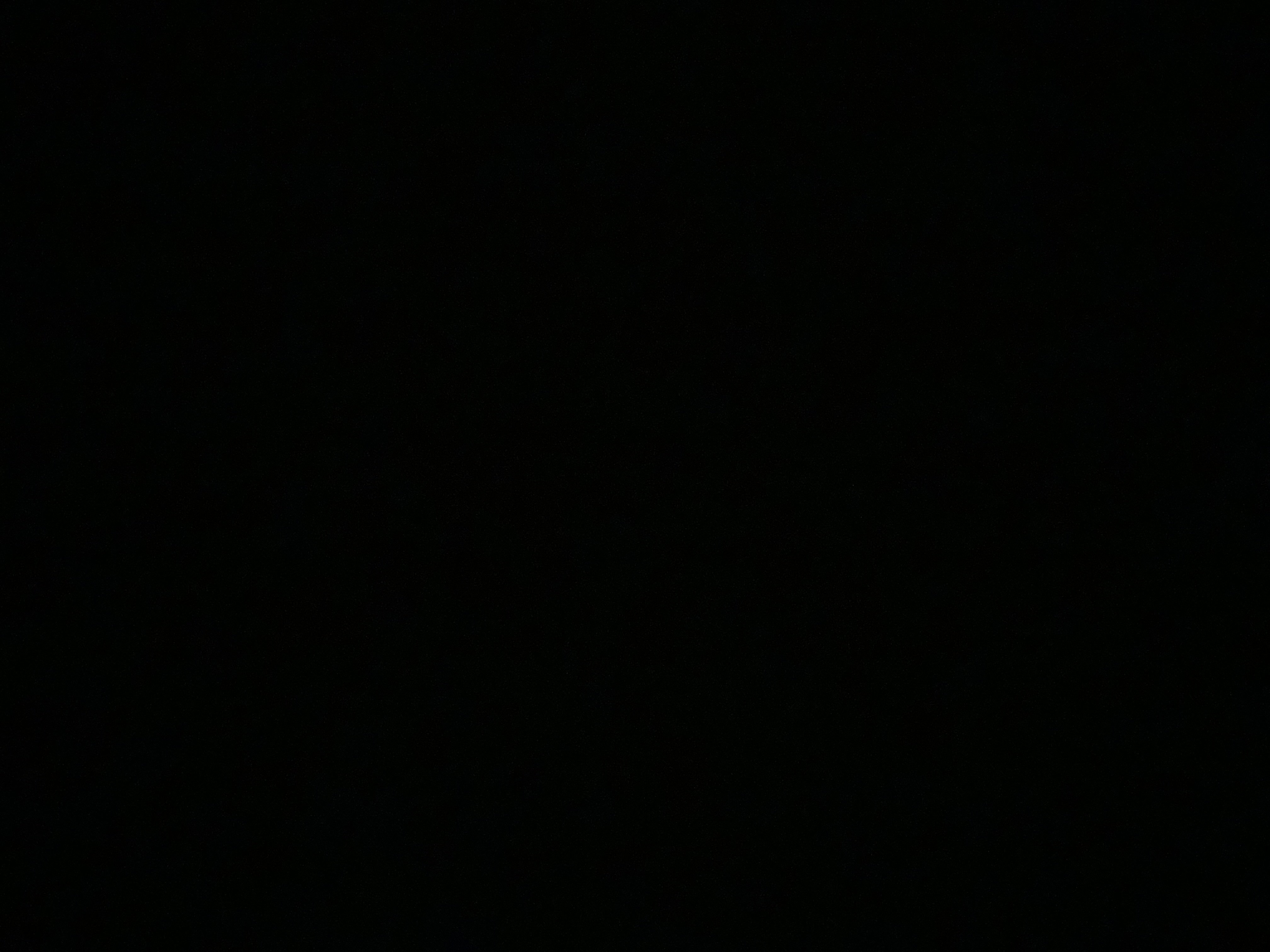عبدالله الحربي