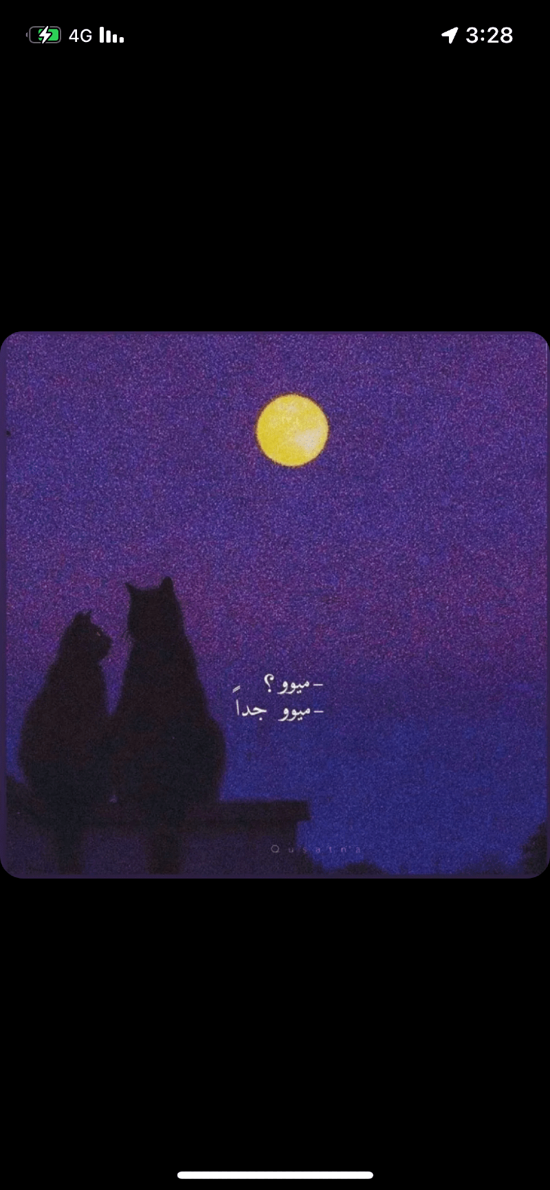 ساره الشريف