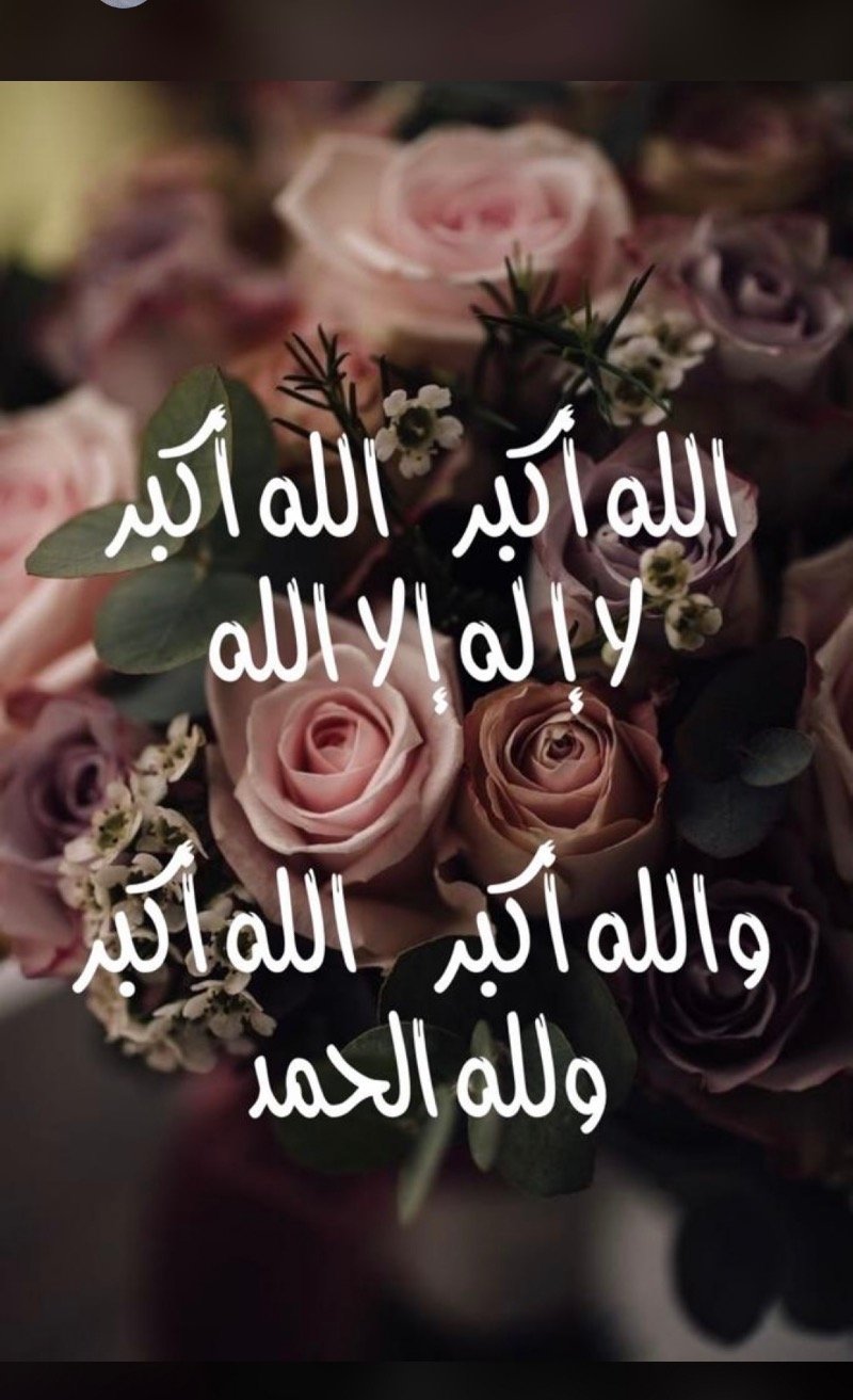 فارس الرويلي